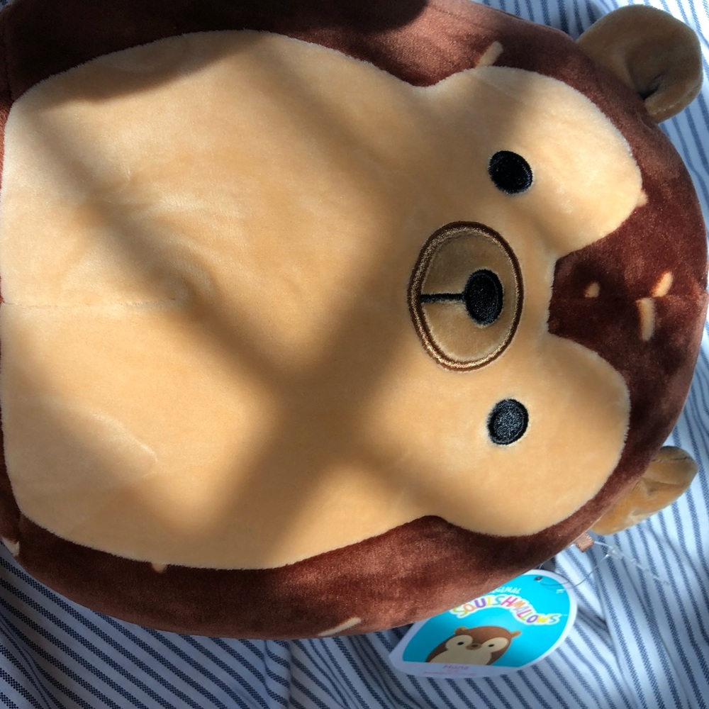 Hans is a hedgehog with a brown body. 7-8 inch